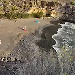Paraiso Del Sur - Sara *